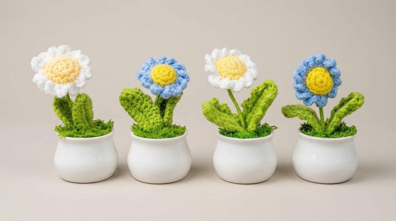 Potted Single Daisy