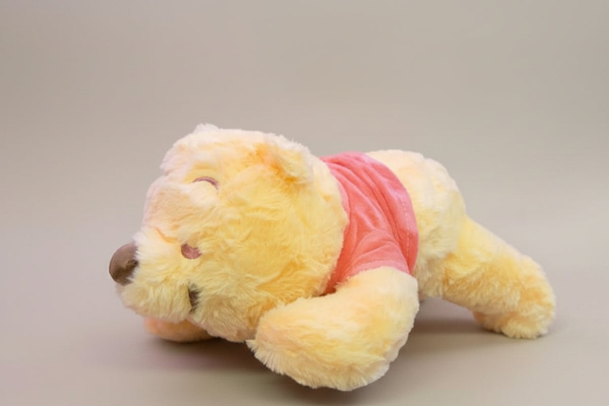 Winnie Pooh Sleeping