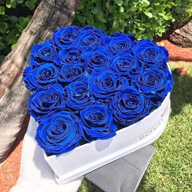 Blue Rose Heart Box