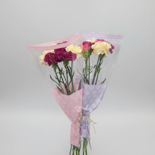 Carnations Mini Bouquet