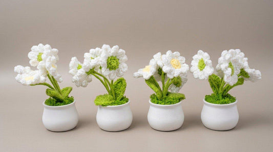 Potted Bunch of Daisys