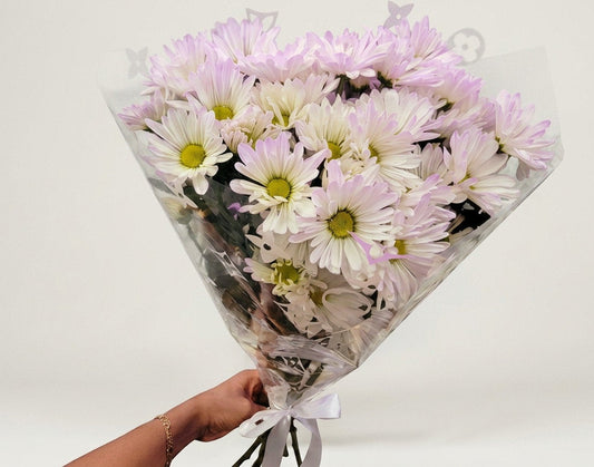 Daisy Mini bouquet