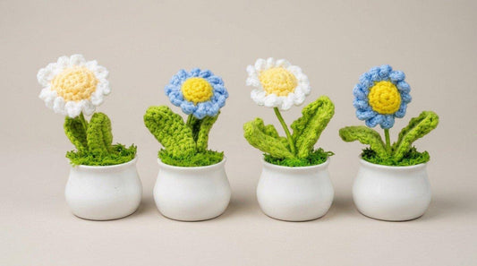 Potted Single Daisy