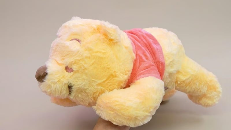 Winnie Pooh Sleeping