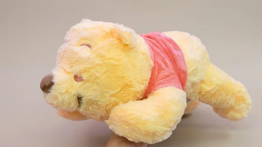 Winnie Pooh Sleeping