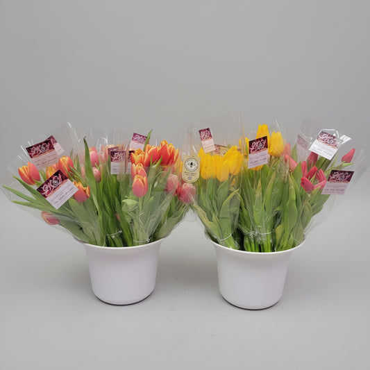 Tulip Bunch