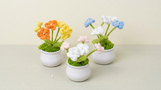 Potted Pearl Flower