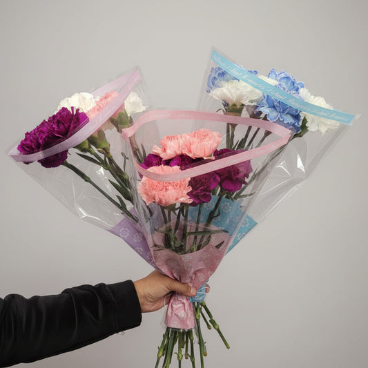 Carnations Mini Bouquet