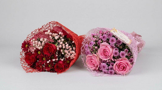 Bloom Bundle