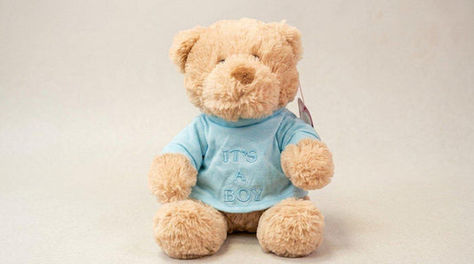 Its a Boy! Plushie