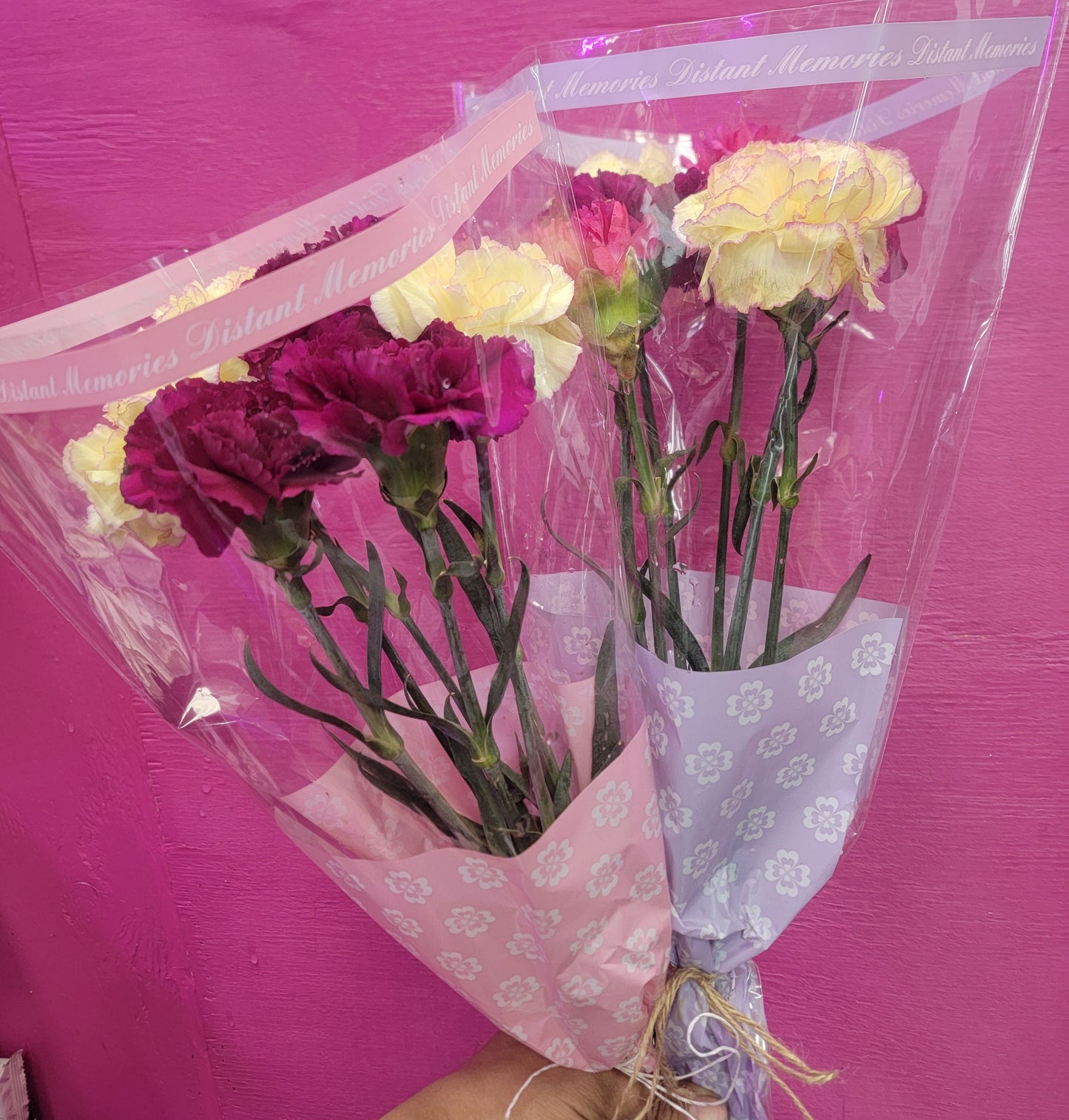 Carnations Bunch